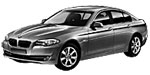 BMW F10 P3020 Fault Code